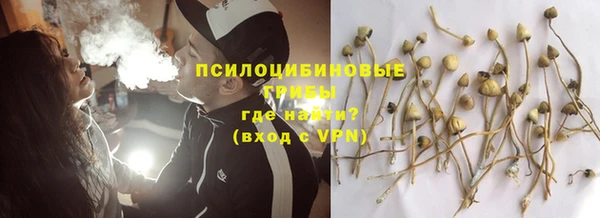 2c-b Липки