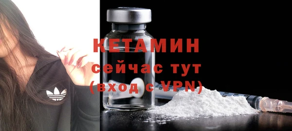 стаф Магас