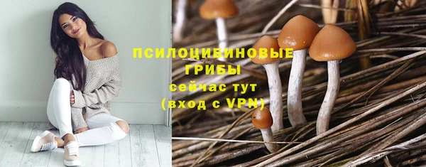 2c-b Липки