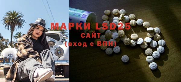 стаф Магас